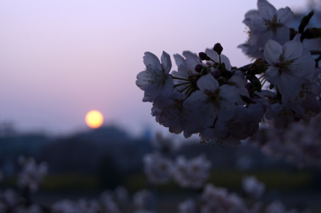 사본 -DSC04699640.jpg 사본 -DSC04699640.jpg